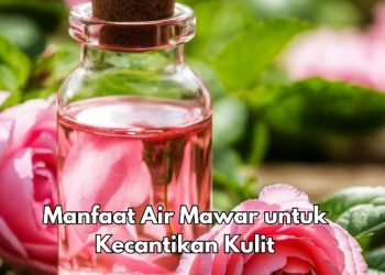 7 Manfaat Air Mawar bagi Kecantikan, Dapat Mengatasi Peradangan Kulit, Cek Sekarang