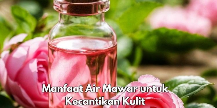7 Manfaat Air Mawar bagi Kecantikan, Dapat Mengatasi Peradangan Kulit, Cek Sekarang