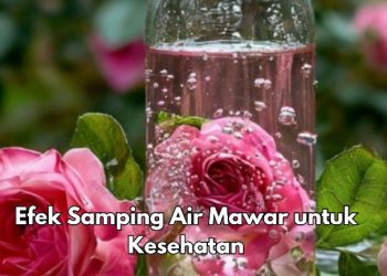 Efek Samping Penggunaan Air Mawar Sehari-hari, Bisa Sebabkan Fotosensitivitas, Cek di Sini!