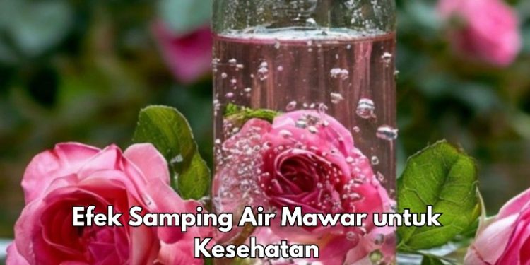 Efek Samping Penggunaan Air Mawar Sehari-hari, Bisa Sebabkan Fotosensitivitas, Cek di Sini!