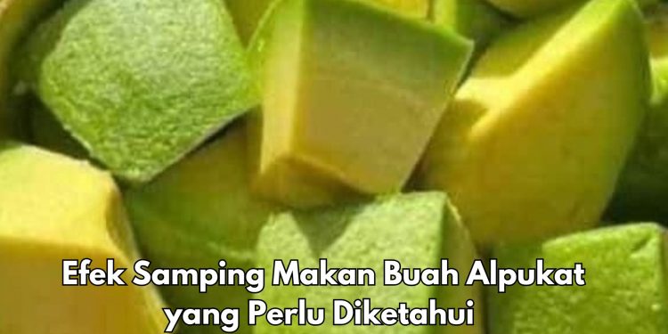 7 Efek Samping Makan Buah Alpukat yang Jarang Diketahui, Salah Satunya Bahaya untuk Ibu Hamil