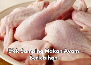 7 Efek Samping dari Makan Ayam Berlebihan, Salah Satunya Bisa Terkena Risiko Keracunan Makanan