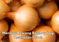 7 Manfaat Konsumsi Bawang Bombay untuk Tubuh, Bisa Melancarkan Pencernaan, Cek di Sini