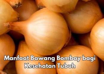 7 Manfaat Konsumsi Bawang Bombay untuk Tubuh, Bisa Melancarkan Pencernaan, Cek di Sini