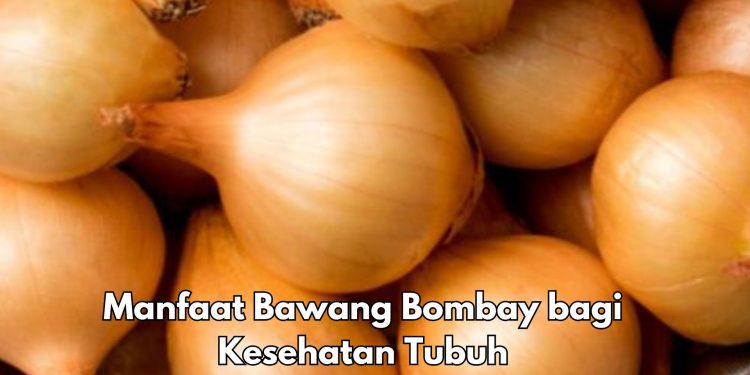 7 Manfaat Konsumsi Bawang Bombay untuk Tubuh, Bisa Melancarkan Pencernaan, Cek di Sini