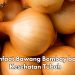 7 Manfaat Konsumsi Bawang Bombay untuk Tubuh, Bisa Melancarkan Pencernaan, Cek di Sini