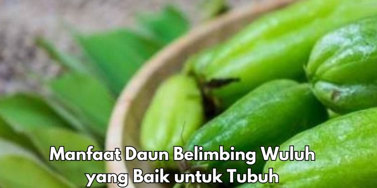 Cek di Sini, Dapat Kecilkan Pori-pori di Wajah, Ini Manfaat Daun Belimbing Wuluh