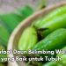 Cek di Sini, Dapat Kecilkan Pori-pori di Wajah, Ini Manfaat Daun Belimbing Wuluh