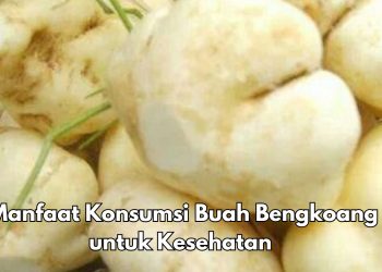 Manfaat Lain Konsumsi Buah Bengkoang, Dipercaya Dapat Mencegah Penyakit Jantung, Cek di Sini