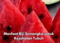 Ini 7 Manfaat Biji Semangka untuk Tubuh, Dipercaya Bisa Membuat Jantung Makin Sehat
