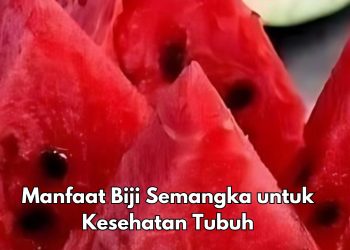 Ini 7 Manfaat Biji Semangka untuk Tubuh, Dipercaya Bisa Membuat Jantung Makin Sehat