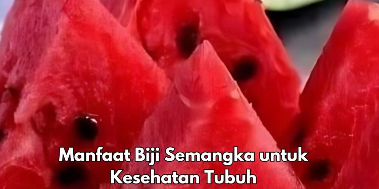 Ini 7 Manfaat Biji Semangka untuk Tubuh, Dipercaya Bisa Membuat Jantung Makin Sehat