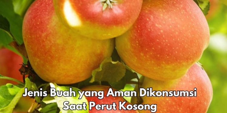 Cek di Sini, 5 Buah Ini Aman Dikonsumsi Saat Perut Kosong, Apa Saja?