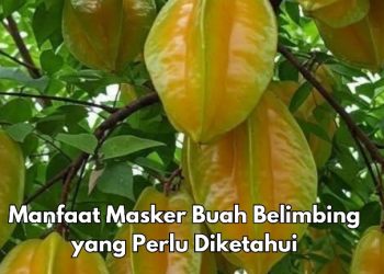 Cukup Gunakan Masker Buah Belimbing Ini, Bisa Bikin Kulit Jadi Lebih Awet Muda, Cek Manfaat di Sini