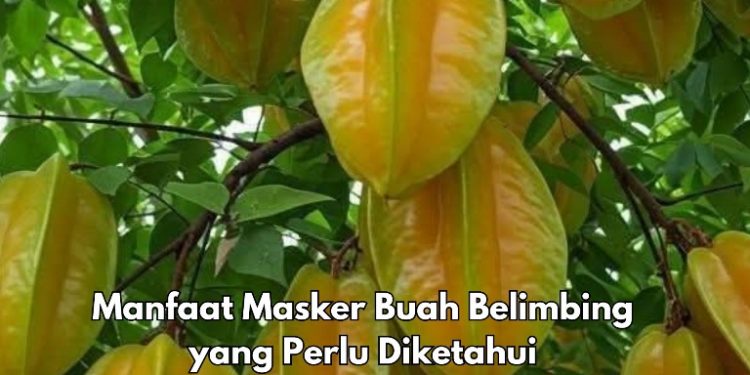 Cukup Gunakan Masker Buah Belimbing Ini, Bisa Bikin Kulit Jadi Lebih Awet Muda, Cek Manfaat di Sini