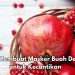 Klaim Manfaat untuk Kecantikan di Sini, Cukup Gunakan Masker Buah Delima, Begini Caranya