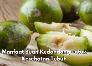 Cek di Sini! 6 Manfaat Buah Kedondong bagi Tubuh, Dapat Membuat Kulit Sehat Alami