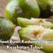 Cek di Sini! 6 Manfaat Buah Kedondong bagi Tubuh, Dapat Membuat Kulit Sehat Alami