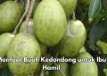 5 Manfaat Konsumsi Buah Kedondong bagi Ibu Hamil, Dipercaya Mendukung Perkembangan Janin