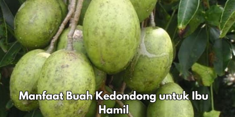 5 Manfaat Konsumsi Buah Kedondong bagi Ibu Hamil, Dipercaya Mendukung Perkembangan Janin