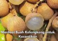 Punya Sumber Antioksidan Tinggi, Cek Manfaat Makan Buah Kelengkeng Sehari-hari Ini, Kulit Makin Sehat