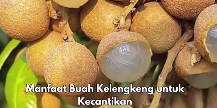 Punya Sumber Antioksidan Tinggi, Cek Manfaat Makan Buah Kelengkeng Sehari-hari Ini, Kulit Makin Sehat