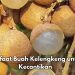 Punya Sumber Antioksidan Tinggi, Cek Manfaat Makan Buah Kelengkeng Sehari-hari Ini, Kulit Makin Sehat