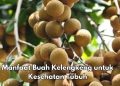 5 Manfaat Buah Kelengkeng untuk Tubuh, Dipercaya Dapat Meningkatkan Kesehatan Otak