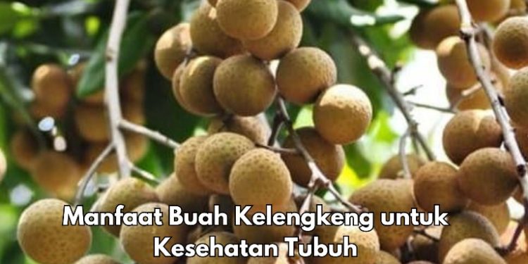 5 Manfaat Buah Kelengkeng untuk Tubuh, Dipercaya Dapat Meningkatkan Kesehatan Otak