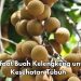 5 Manfaat Buah Kelengkeng untuk Tubuh, Dipercaya Dapat Meningkatkan Kesehatan Otak