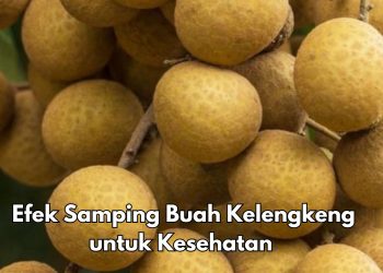 Ilustrasi. Efek samping konsumsi buah kelengkeng untuk kesehatan.