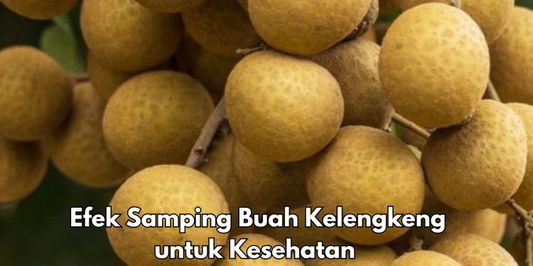 Ilustrasi. Efek samping konsumsi buah kelengkeng untuk kesehatan.