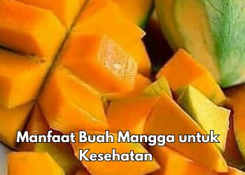 Cek 7 Manfaat Buah Mangga di Sini! Bikin Mata Makin Sehat, Yuk Rutinkan