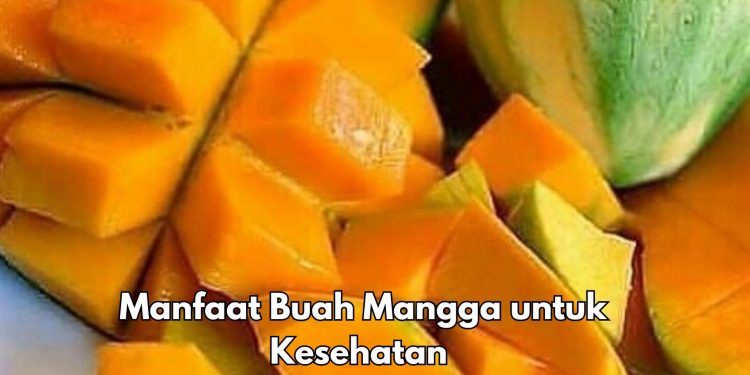 Cek 7 Manfaat Buah Mangga di Sini! Bikin Mata Makin Sehat, Yuk Rutinkan
