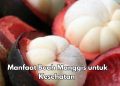 Ini 8 Manfaat Makan Buah Manggis Sehari-hari, Dapat Meredakan Radang Sendi
