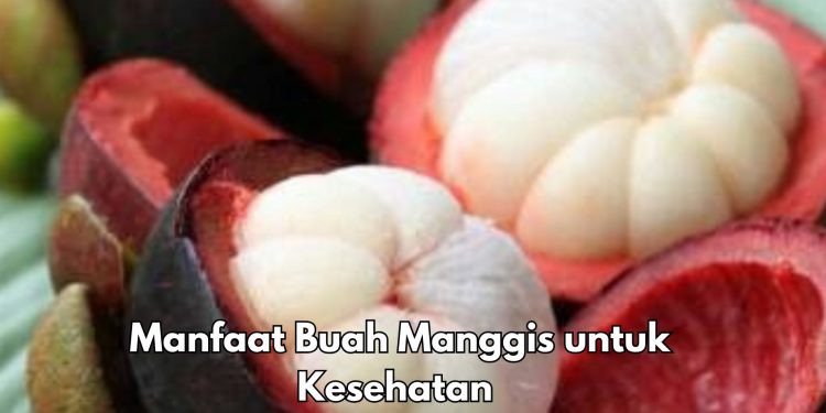 Ini 8 Manfaat Makan Buah Manggis Sehari-hari, Dapat Meredakan Radang Sendi