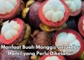 Cek 5 Manfaat Buah Manggis untuk Bumil Ini, Salah Satunya Bisa Mengontrol Berat Badan