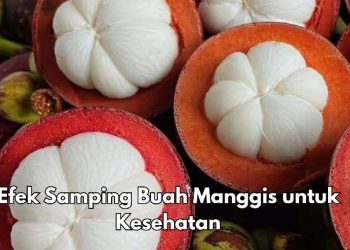 Cek Efek Samping Buah Manggis Ini, Dapat Menimbulkan Masalah Pencernaan