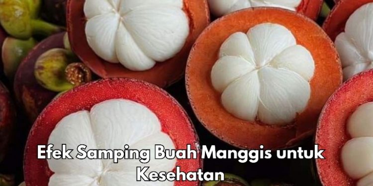 Cek Efek Samping Buah Manggis Ini, Dapat Menimbulkan Masalah Pencernaan