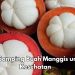 Cek Efek Samping Buah Manggis Ini, Dapat Menimbulkan Masalah Pencernaan
