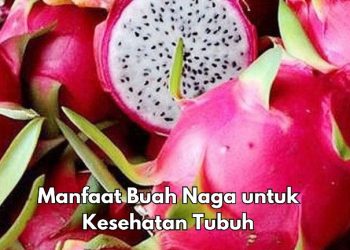 Manis dan Segar! Ini 8 Manfaat Buah Naga, Bisa Bikin Rambut Sehat Alami
