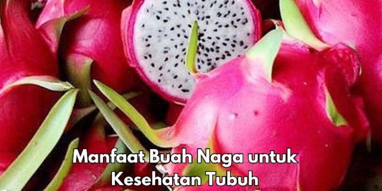 Manis dan Segar! Ini 8 Manfaat Buah Naga, Bisa Bikin Rambut Sehat Alami