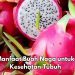 Manis dan Segar! Ini 8 Manfaat Buah Naga, Bisa Bikin Rambut Sehat Alami