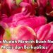 Cek di Sini! Cara Memilih Buah Naga Manis dan Berkualitas, Jangan Salah Ambil