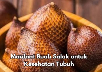 Cek Sekarang! 8 Manfaat Buah Salak bagi kesehatan, Bisa Meningkatkan Daya Tahan Tubuh