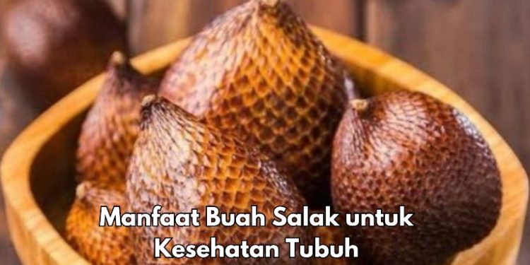Cek Sekarang! 8 Manfaat Buah Salak bagi kesehatan, Bisa Meningkatkan Daya Tahan Tubuh