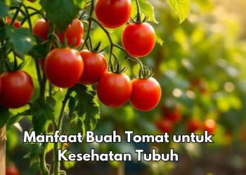 Buah Tomat Baik untuk Kesehatan Jantung, Cek Manfaat Rincinya di Sini