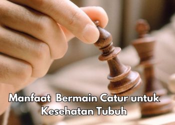 Ini 5 Manfaat Bermain Catur Sehari-hari, Baik untuk Kesehatan dan Dapat  Meningkatkan Konsentrasi