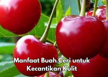 6 Manfaat Konsumsi Ceri untuk Kecantikan, Dapat Mencerahkan Kulit, Cek di Sini
