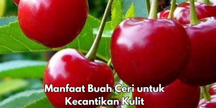 6 Manfaat Konsumsi Ceri untuk Kecantikan, Dapat Mencerahkan Kulit, Cek di Sini